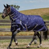 Weatherbeeta ComFiTec Essential Combo Neck Medium