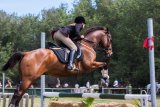 Equestrian Horse Jumping