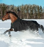 Unmatched Durability in the Rambo Original Turnout